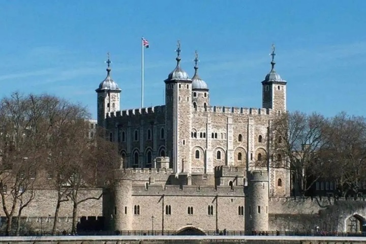 高端洗護市場持續增長，消費者追求品質生活